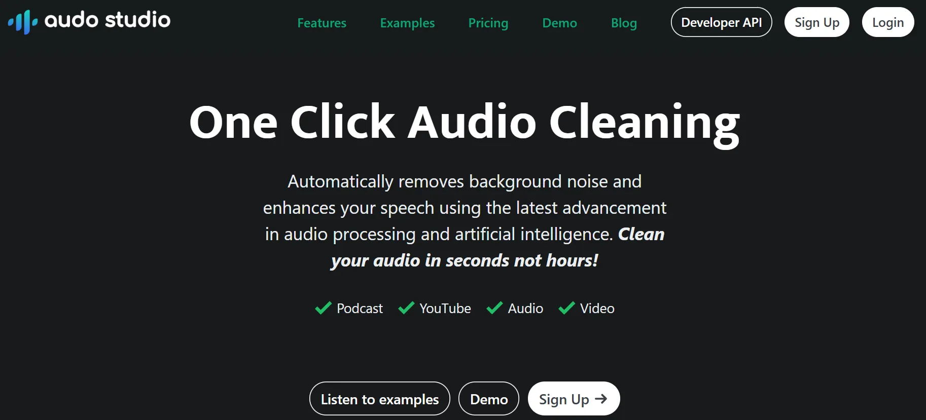 audo ai feature-image