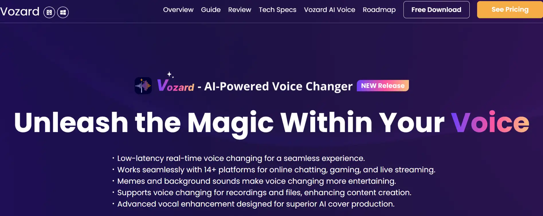 vozard feature-image