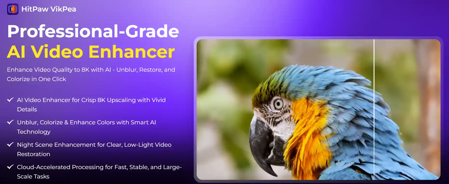 hitpaw video enhancer feature-image