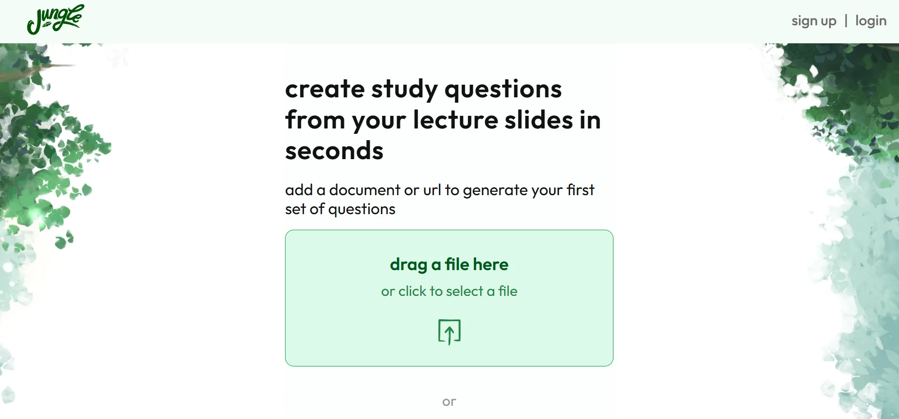 jungle feature-image