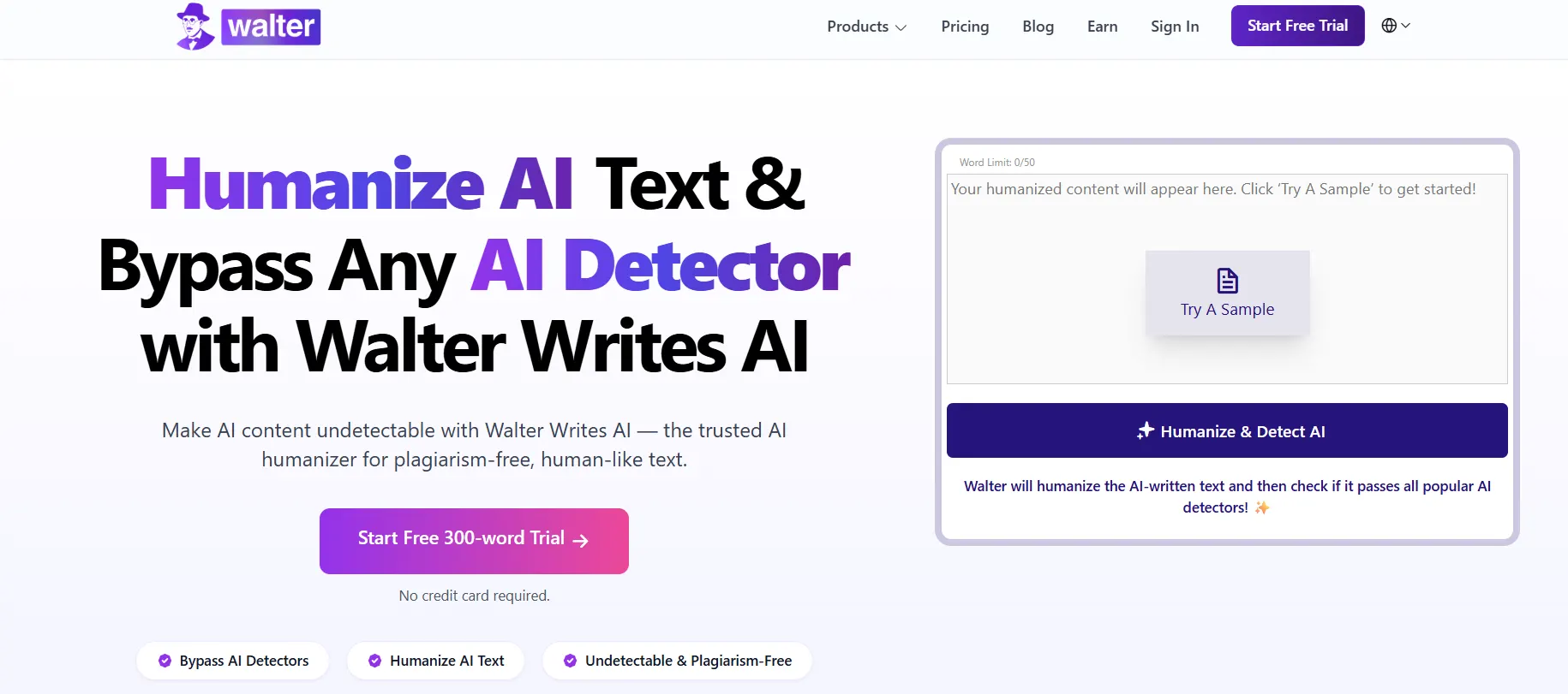 walter writes ai feature-image