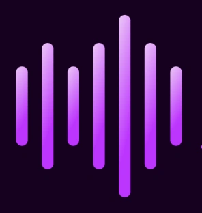 voice swap icon